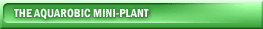 The Aquarobic Mini-Plant
